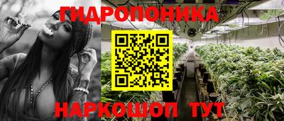 СК Гай
